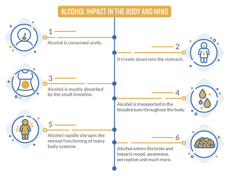 How Alcohol Impacts The Body Chart