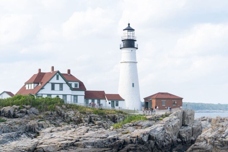 Pine Tree Detox &#038; Recovery